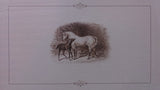White Horse and Black Colt Engraved Printers Proof, Matte Framed