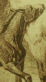 White Horse and Black Colt Engraved Printers Proof, Matte Framed