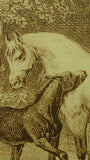 White Horse and Black Colt Engraved Printers Proof, Matte Framed