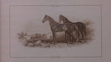 Engraved Horse Print Black Stallion & Mare, Matte Framed