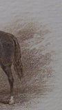 Engraved Horse Print Black Stallion & Mare, Matte Framed