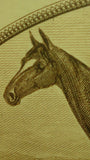 Vintage RARUS King of the Turf Engraved Printers Proof Framed Trotting Horse Collectible