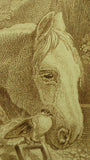 Vintage Engraved Horse Print Two Horses & Pigeons in Wreath Frame