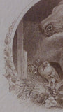 Vintage Engraved Horse Print Two Horses & Pigeons in Wreath Frame