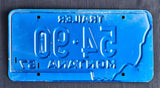 Trailer License Plate, 1967, Montana, Plate Number 54*90 - Roadshow Collectibles