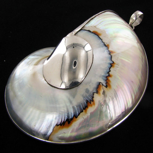 Pendant, Sterling Silver, Nautilus Shell, Well-Crafted - Roadshow Collectibles