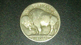 1924 Indian Head Buffalo Nickel Minted In Philadelphia James E Fraser - Roadshow Collectibles