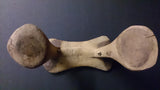 African Kenya Turkana Headrest, Hand Carved, Very Old - Roadshow Collectibles