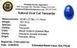 Natural Oval Cut Tanzanite Gemstone, Bluish Violet, Tanzania, Africa - Roadshow Collectibles