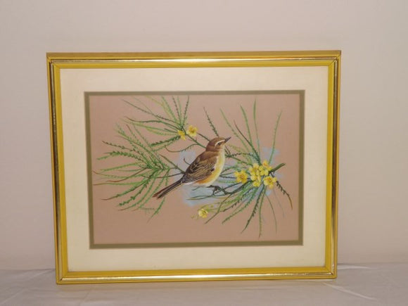 Watercolour Of A Pine Warbler Signed By Artist Greer Framed and Matted - Roadshow Collectibles