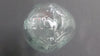 Schweppes Torpedo Glass Bottle with Embossed Street and Brand Name - Roadshow Collectibles